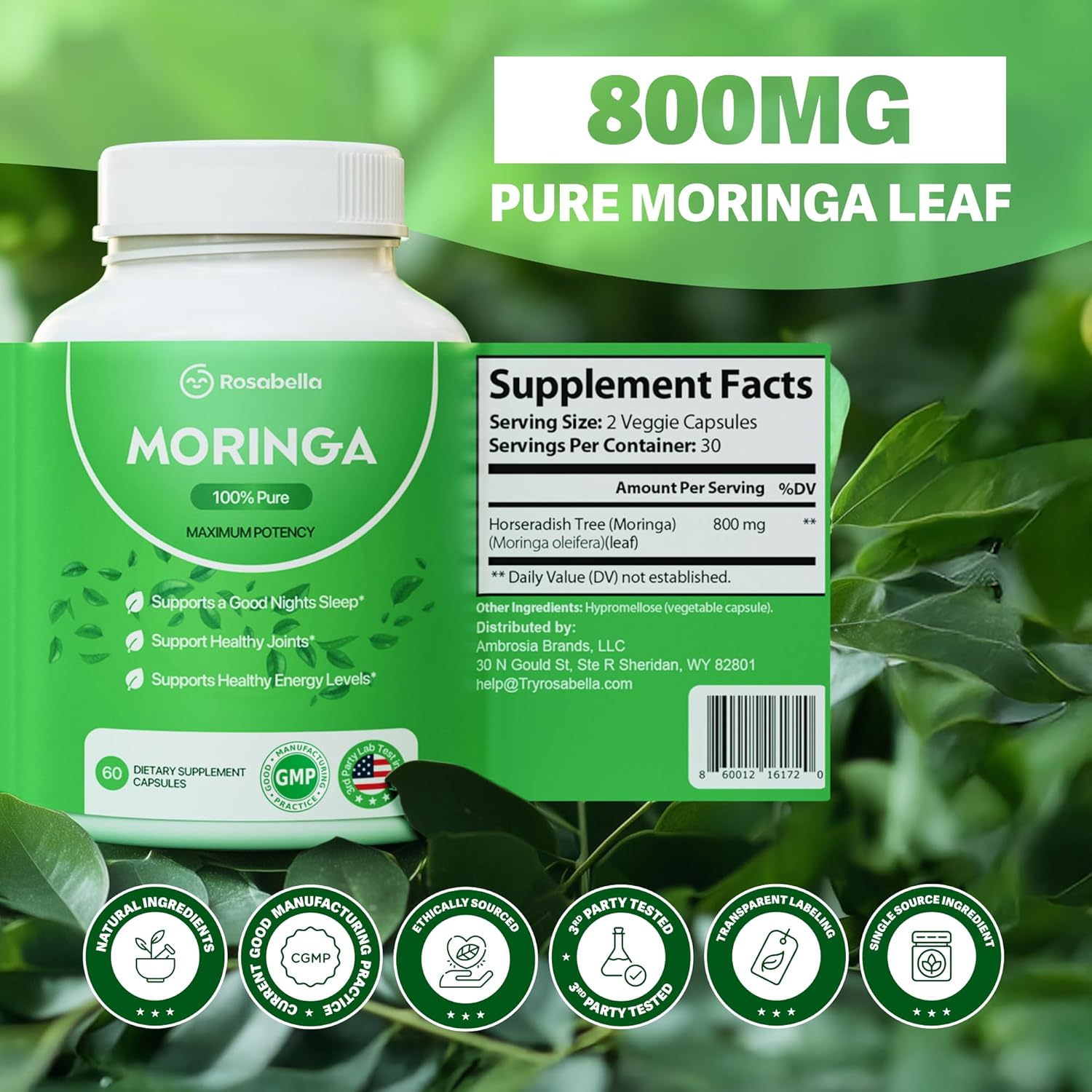 Moringa Rosabella – 60 Cápsulas | Energía y Bienestar Natural